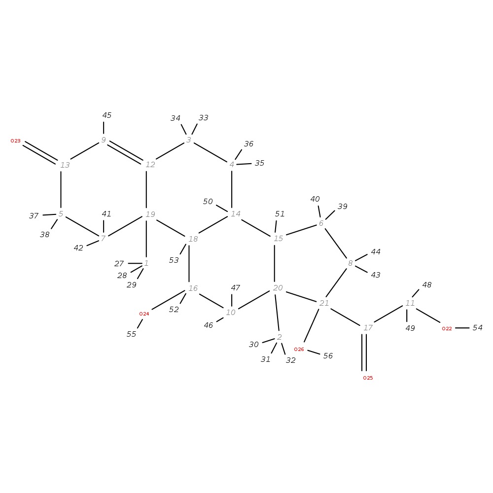 Image for Hydrocortisone (Cortisol)